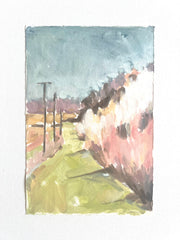 A Walk in the Garden