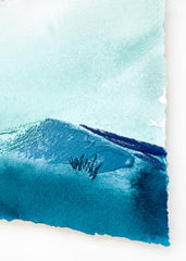 Little Wildflowers 6