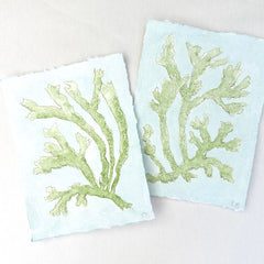 Chartreuse Seaweed No. 2