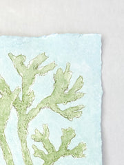 Chartreuse Seaweed No. 2