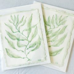 Green Sea Kelp No. 1