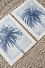 Indigo Palm IV