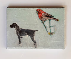 Red Cardinal