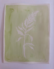 Green Fern