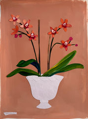 Orchids are so Classic-Mauve