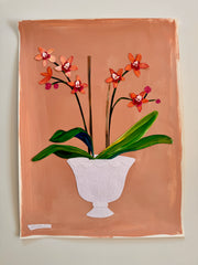 Orchids are so Classic-Mauve