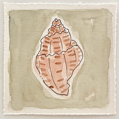 Mini Shell No. 13
