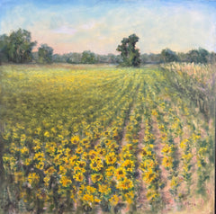 Sunflower Fields Forever