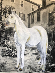 In the Courtyard