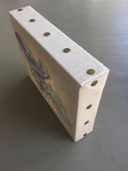 Winged Oyster Shells