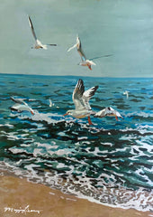 Seagulls