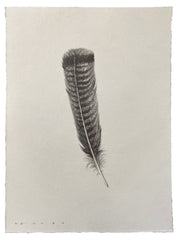 Turkey Feather 2