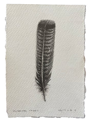 Turkey Feather 3