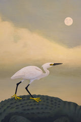 Alligator and Egret