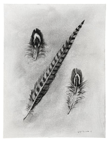 Pheasant Feather Trio