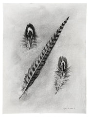 Pheasant Feather Trio