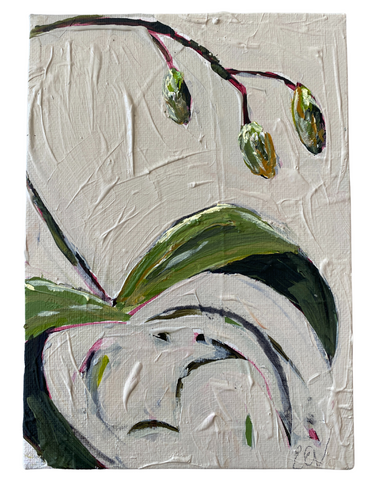 Orchid Bud 2
