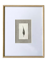 Sage Grouse Feather on Leather