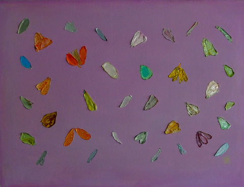 Butterfly Season