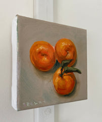 Clementines Study