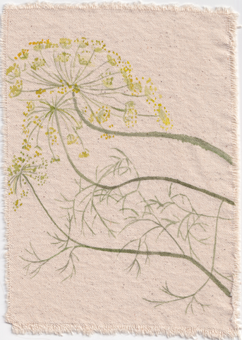 Dill