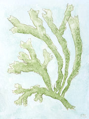 Chartreuse Seaweed No. 1