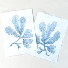 Indigo Seaweed No. 1