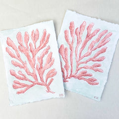 Pink Seaweed No. 2