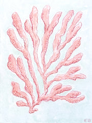Pink Seaweed No. 2