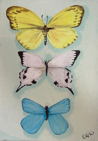 Wings II