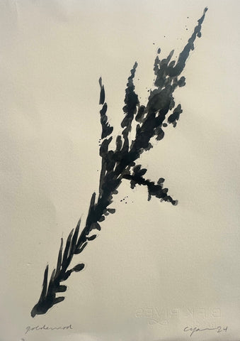Goldenrod Shadow