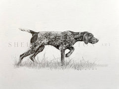 German Shorthaired Pointer