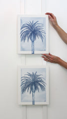 Indigo Palm IV
