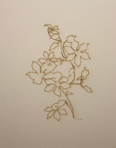 Clematis
