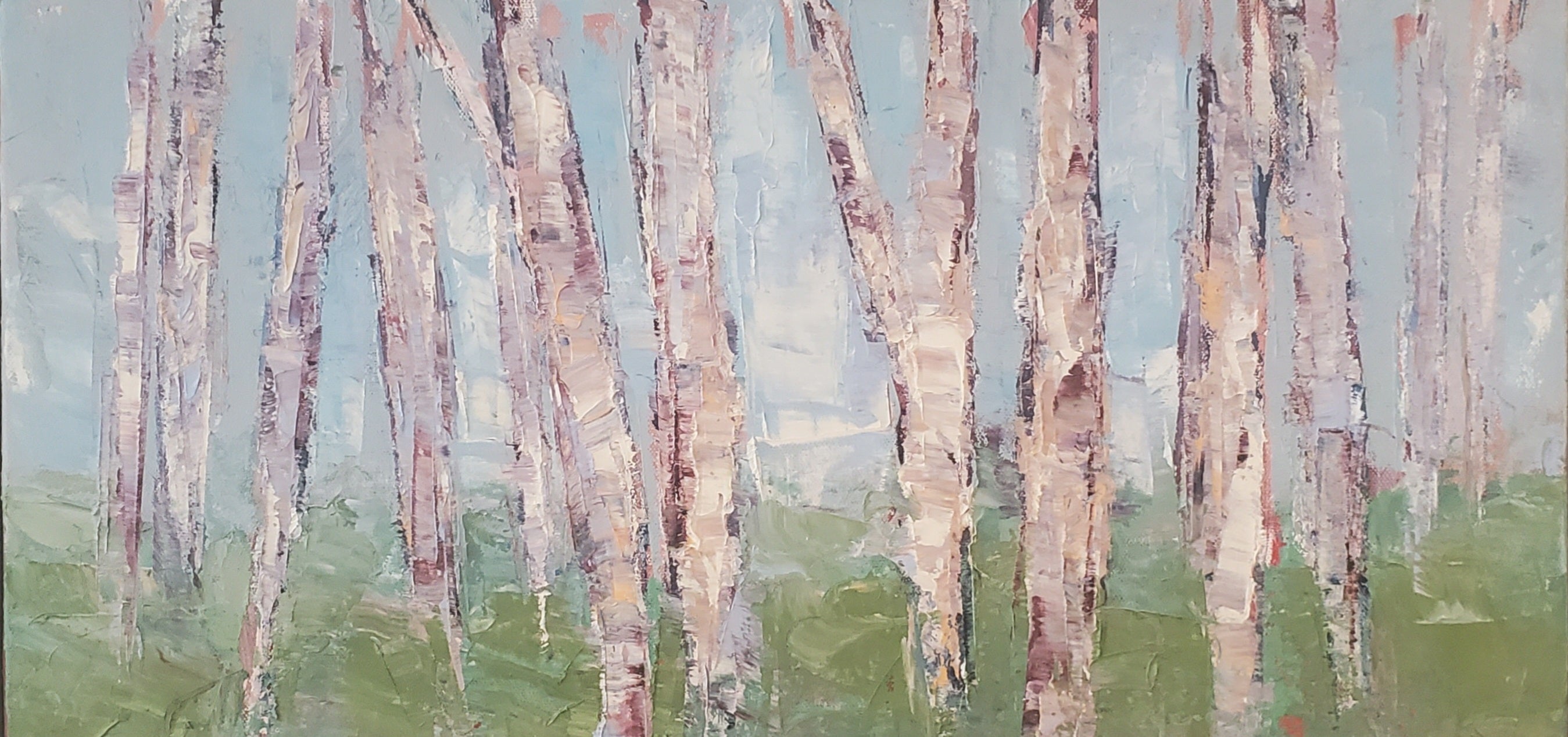 The Colors of the Forest