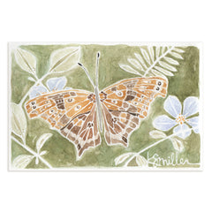 Butterflies 032
