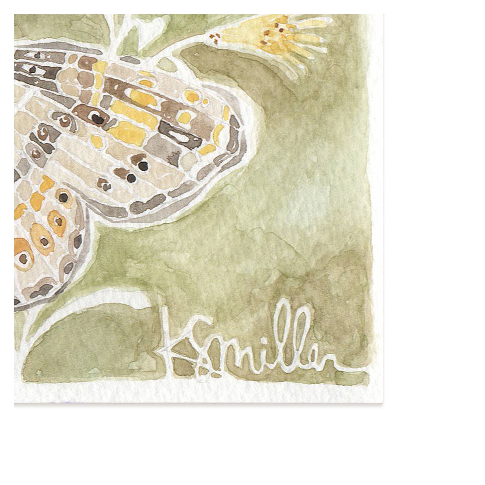 Butterflies 035
