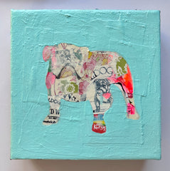 Bulldog Blue