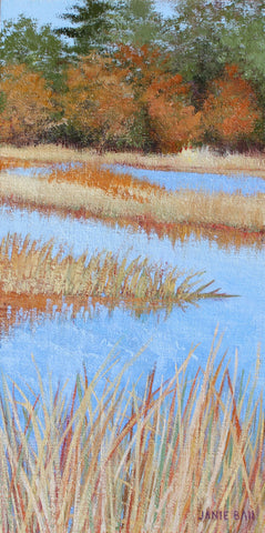 Lowcountry Fall - Ace Basin of SC