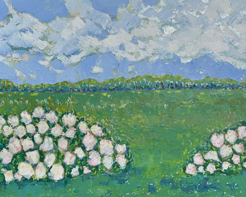 Afternoon in the Sun