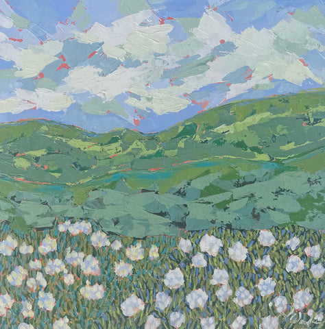 Watch the Morning Come