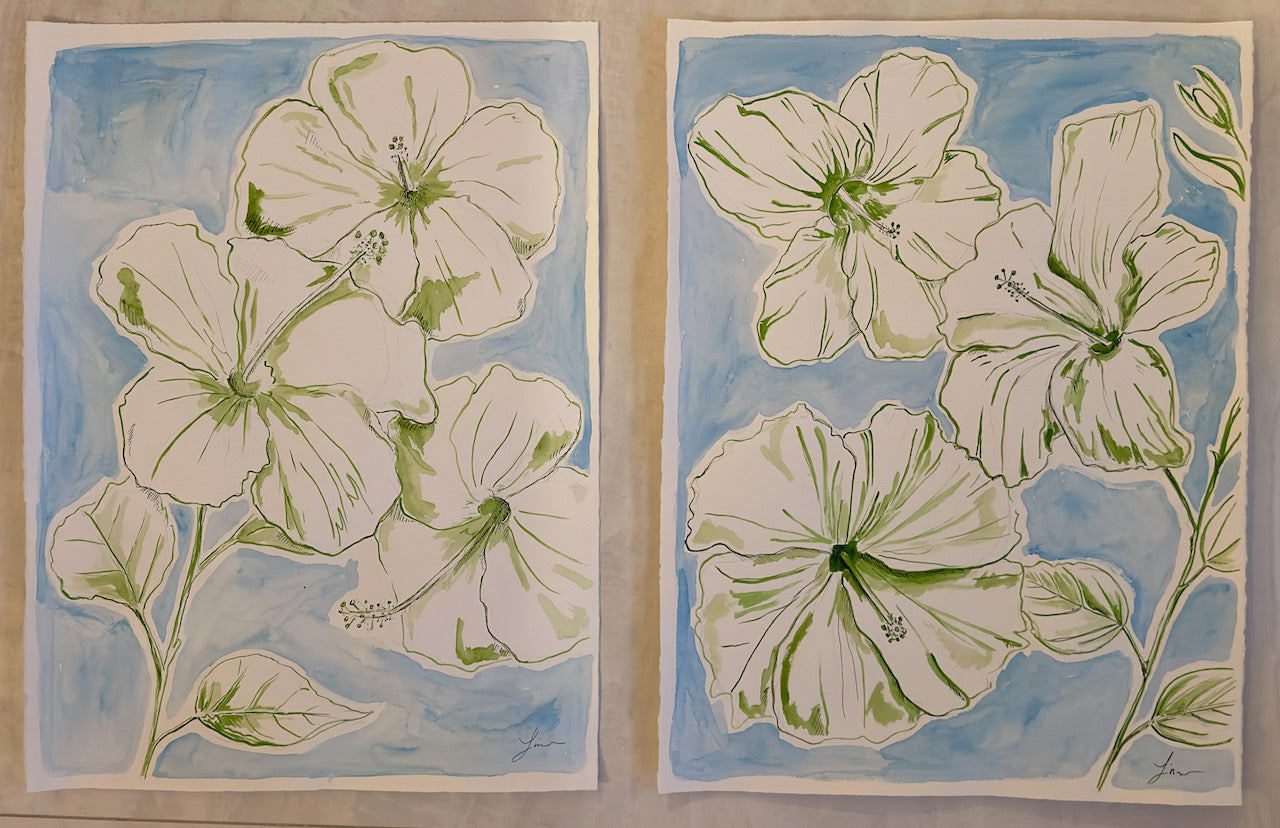 Hibiscus Haven