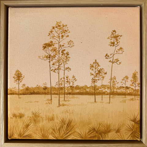 Longleaf Pines