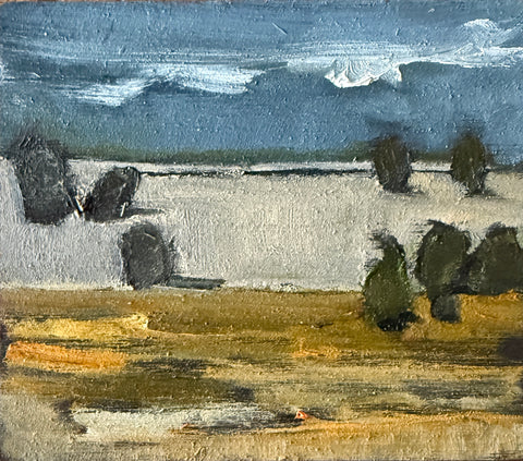 Looking Over the Pasture