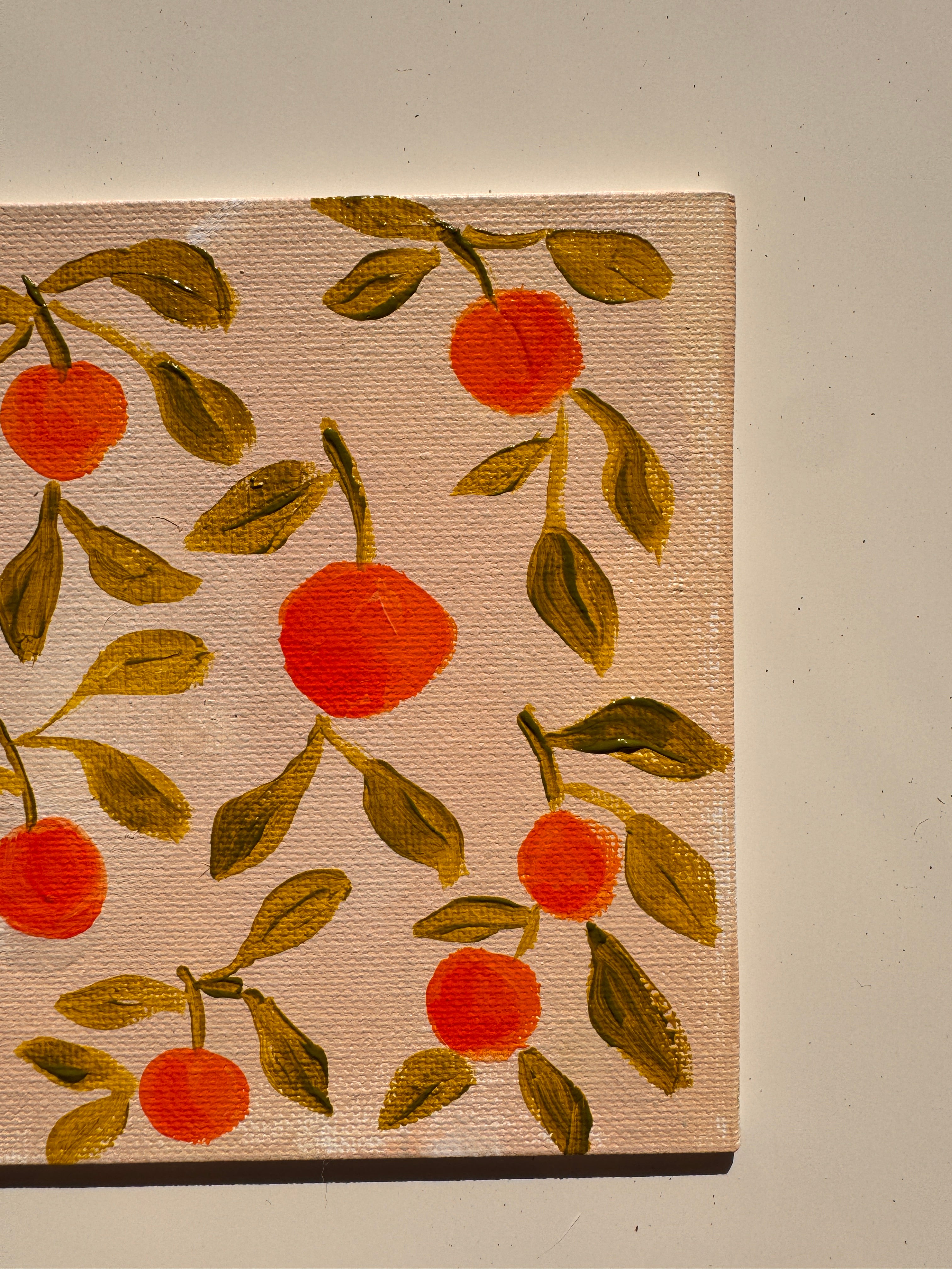 Orange Grove on Blush