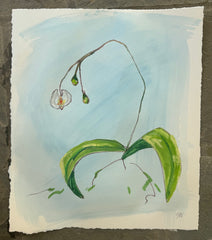 Orchid Study - Bloom