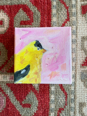 Goldfinch in Pink