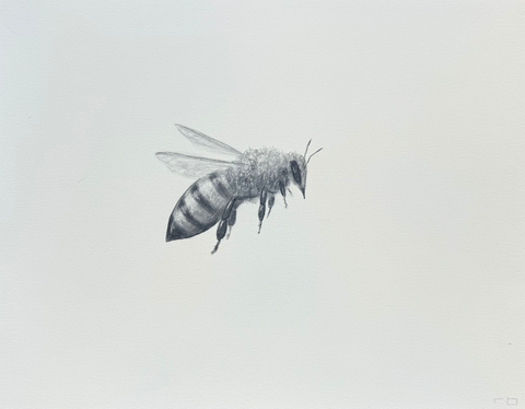 Bee 6