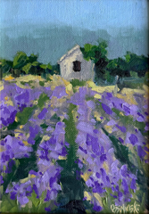Lavender Haze