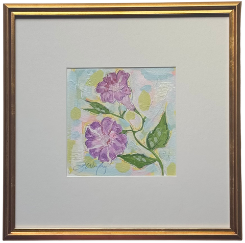 September Morning Glory